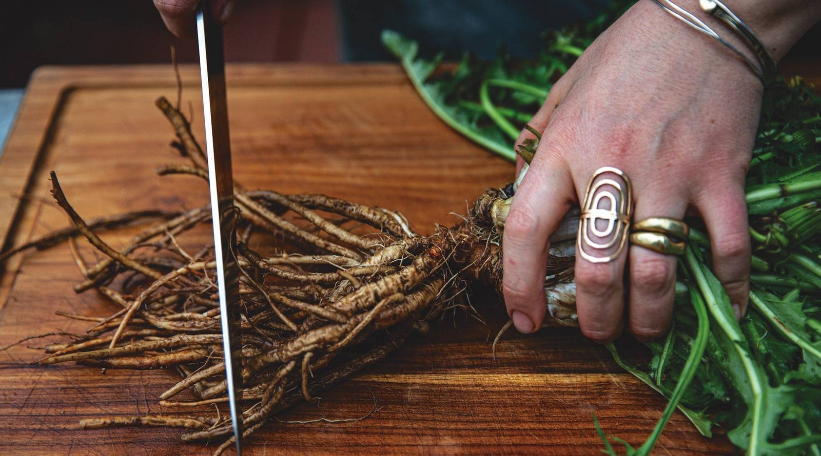 Four foraged foods that will wow Thanksgiving guests