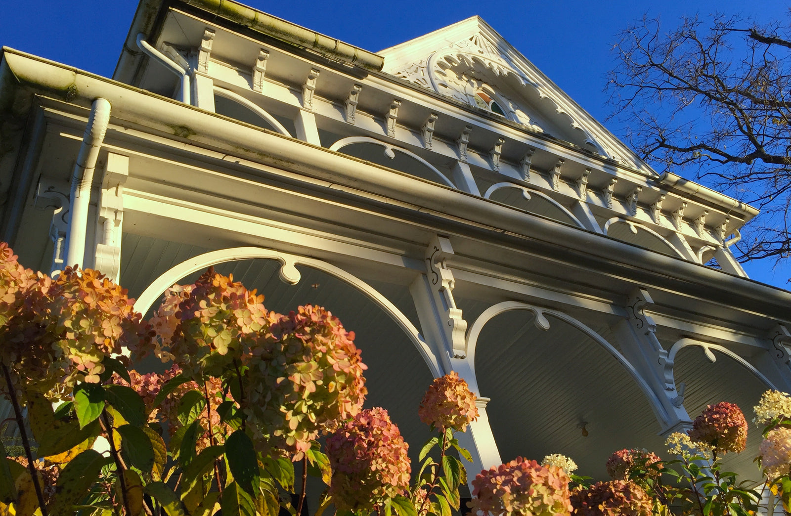 6 Vacation Rentals That Feel Like Home