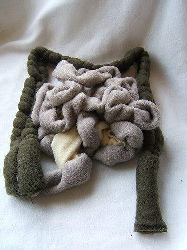 Love and a Troubled Colon