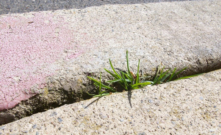 Very (Silly) Superstitious