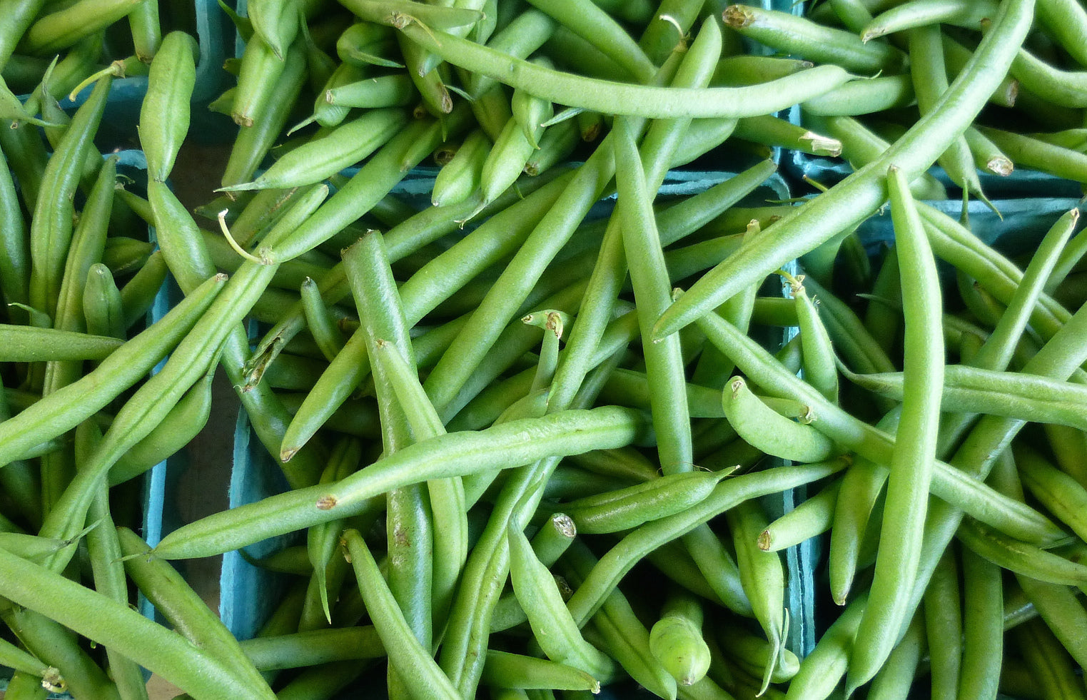 Breaking Beans