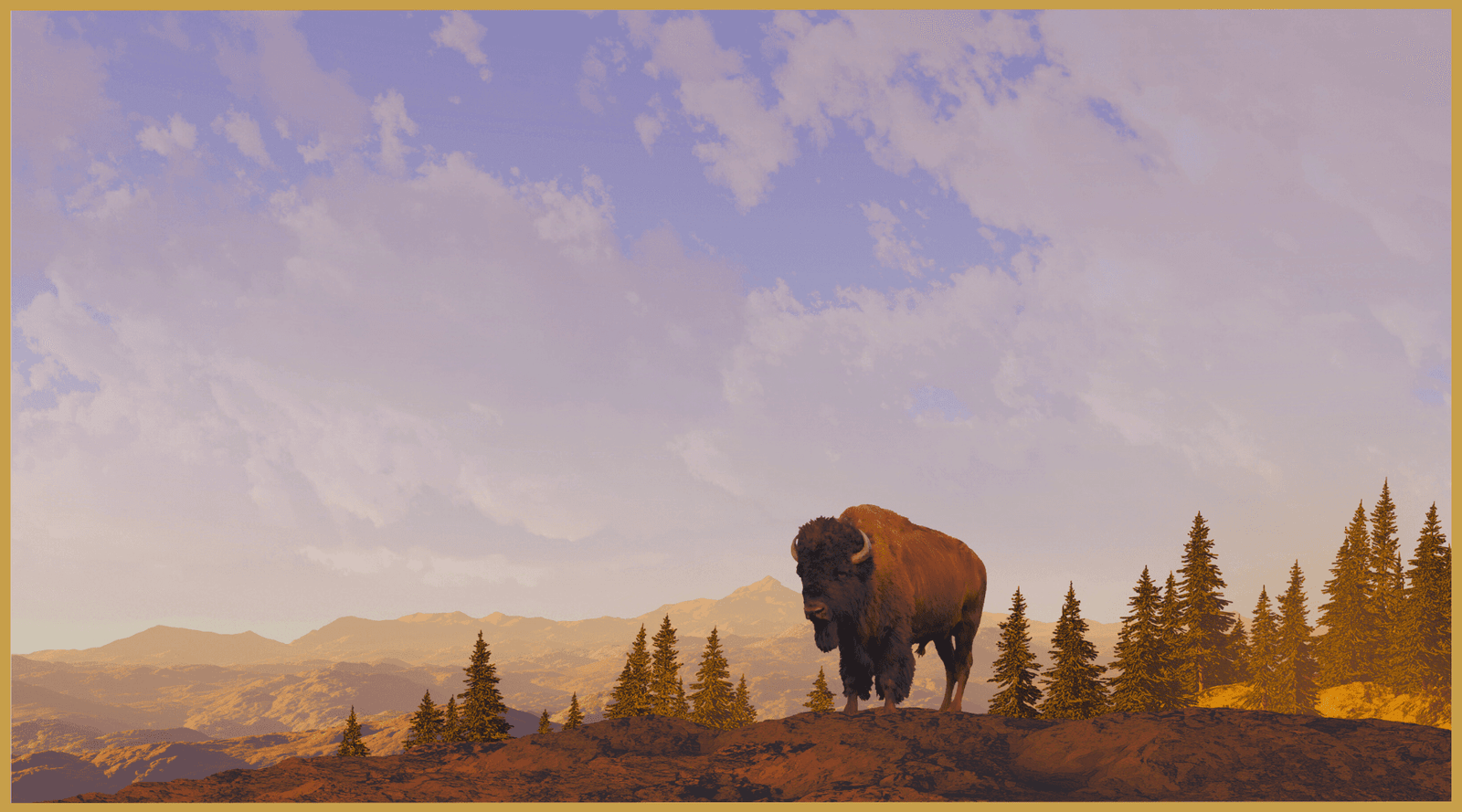 Who’s bringing bison back to Appalachia? A rad, Indigenous, women-led group