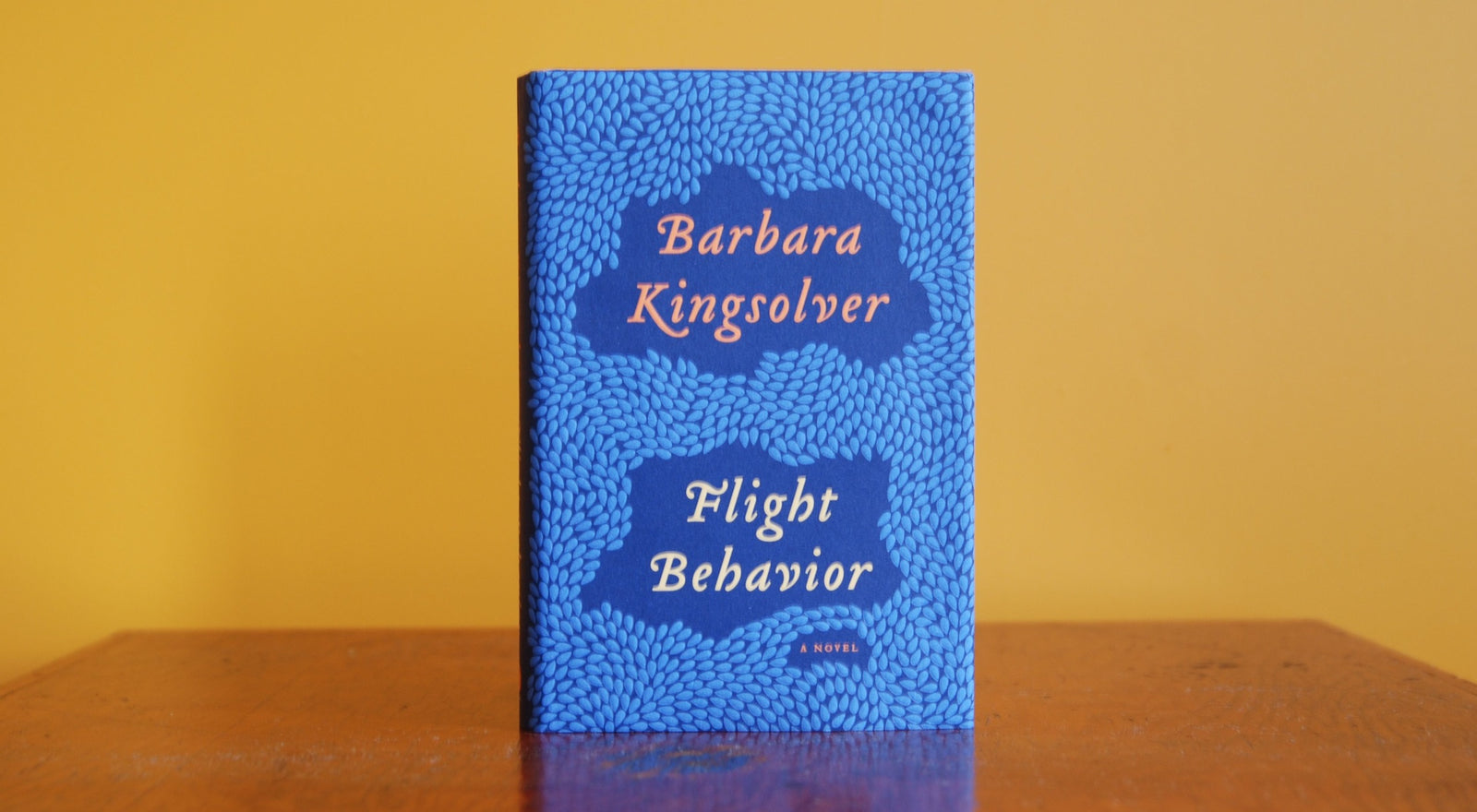 Win New Kingsolver Novel