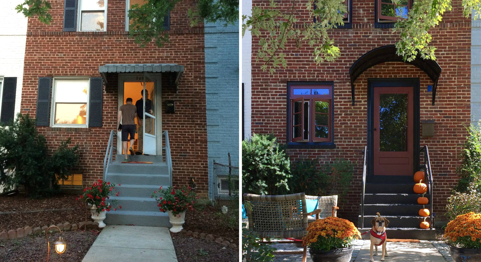 The Revivalist At Home