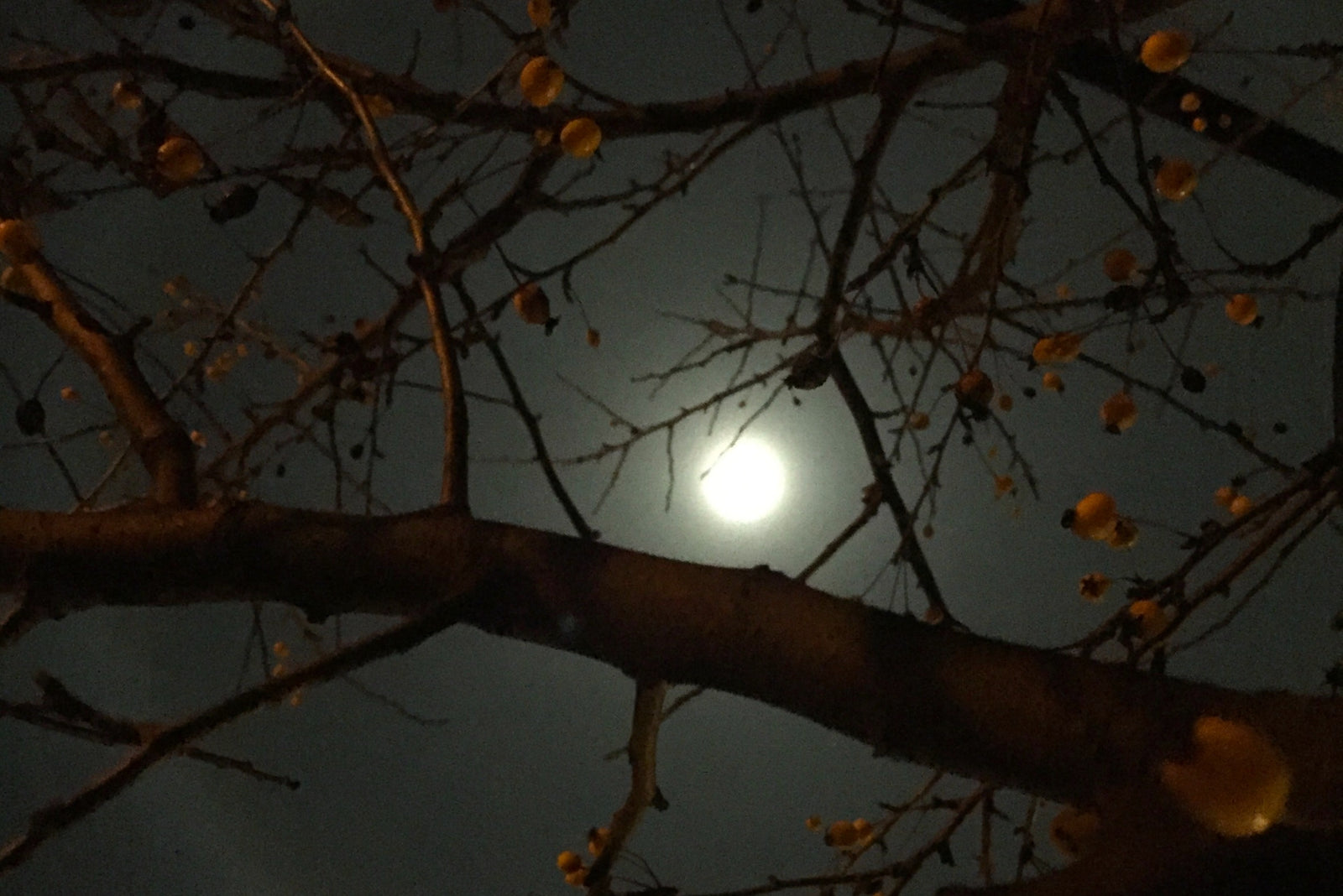 One Song: It's Just the Night