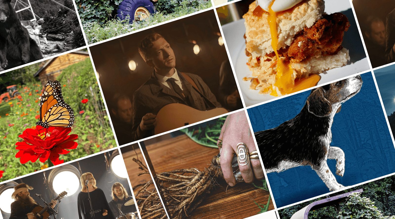 Our most-read stories of 2023