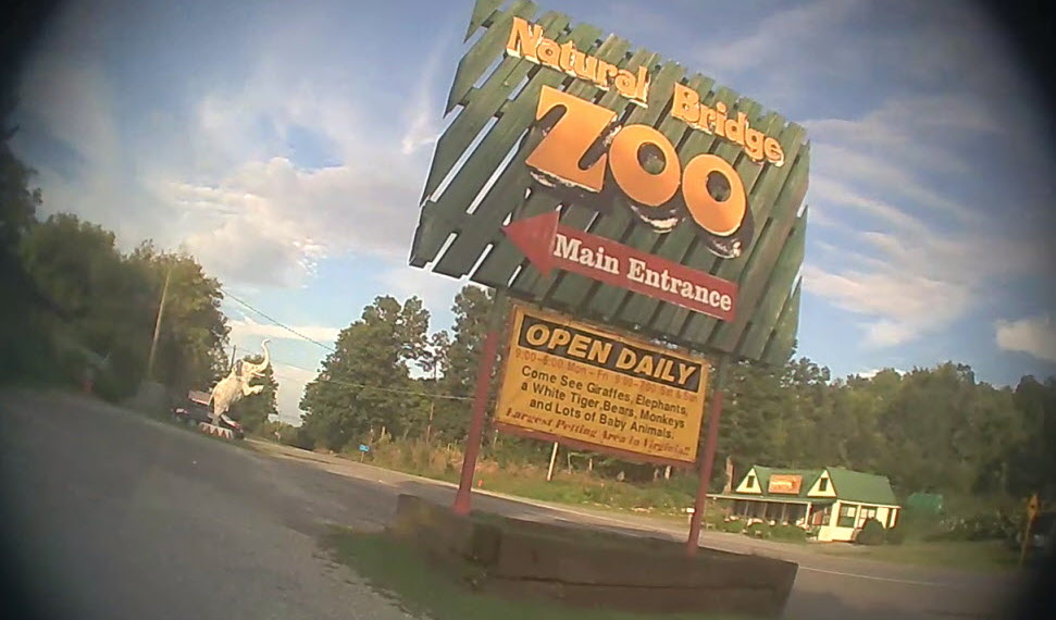 Where Will Animals from "Bad Zoo" Go?