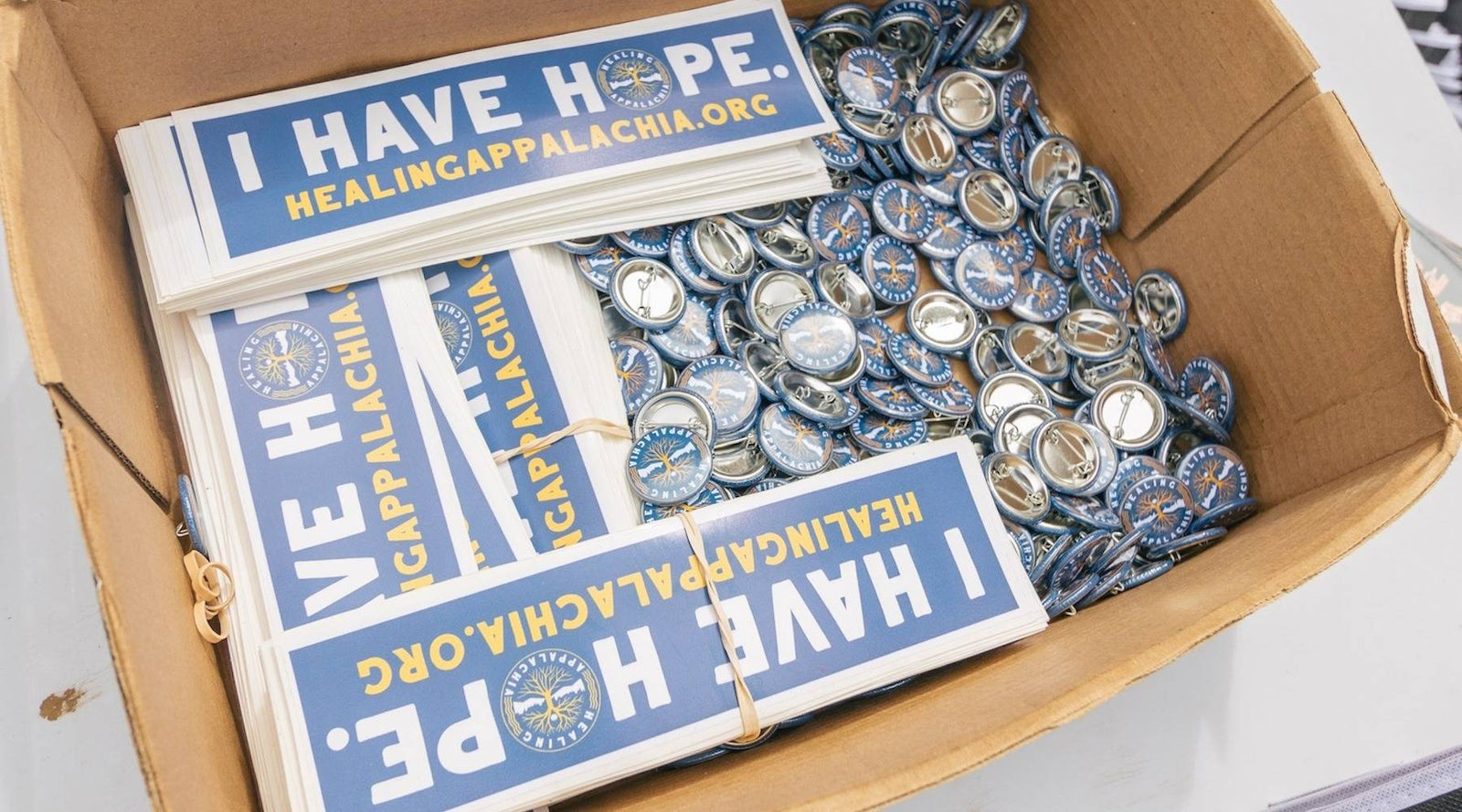 Recovery and grief at the Healing Appalachia music festival