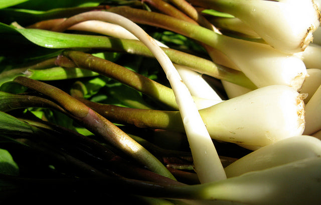 Ramps: Loving Them to Death?