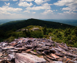 Are You Ready for High Allegheny National Park?