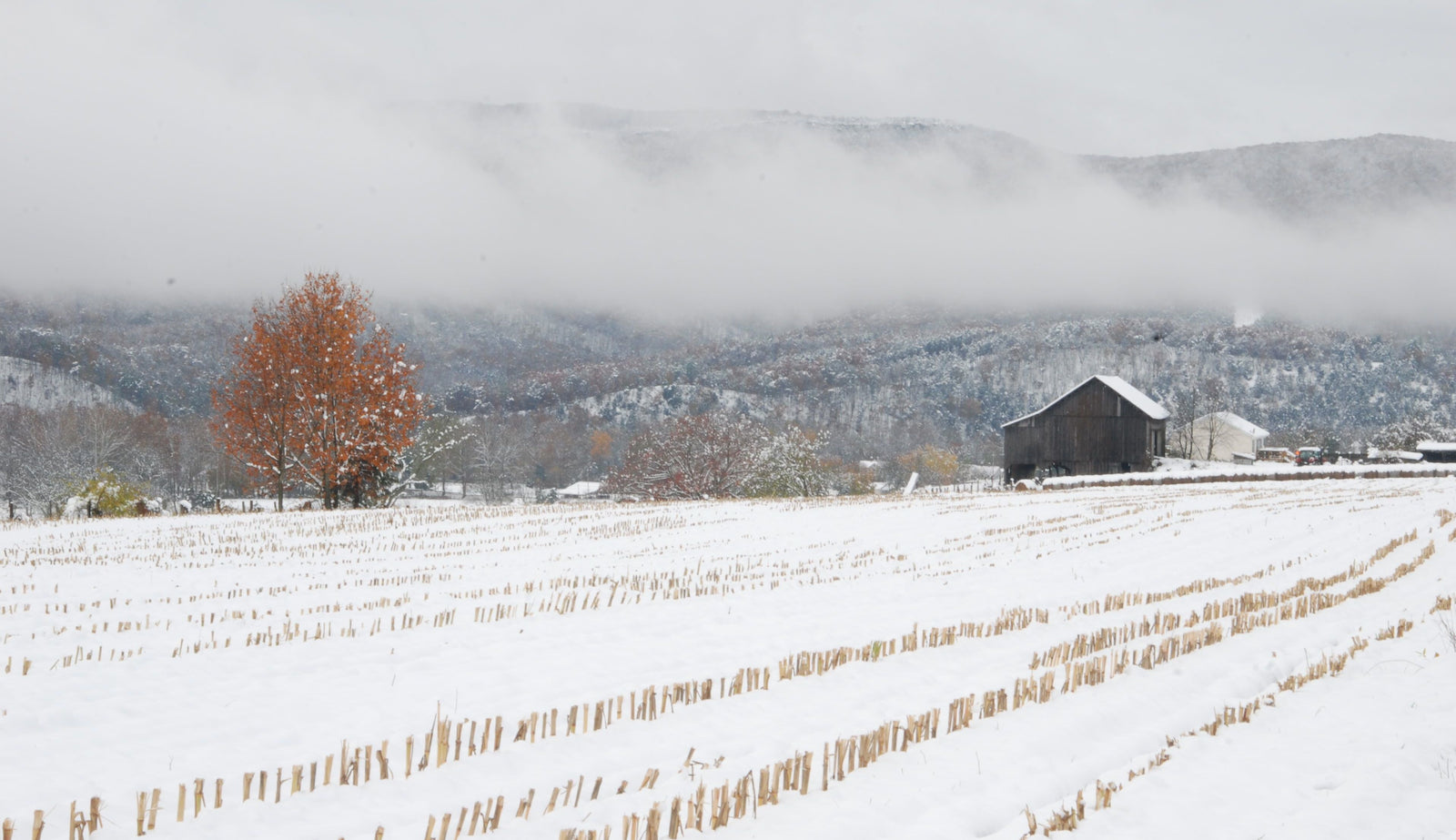 How Do You Predict the Weather?