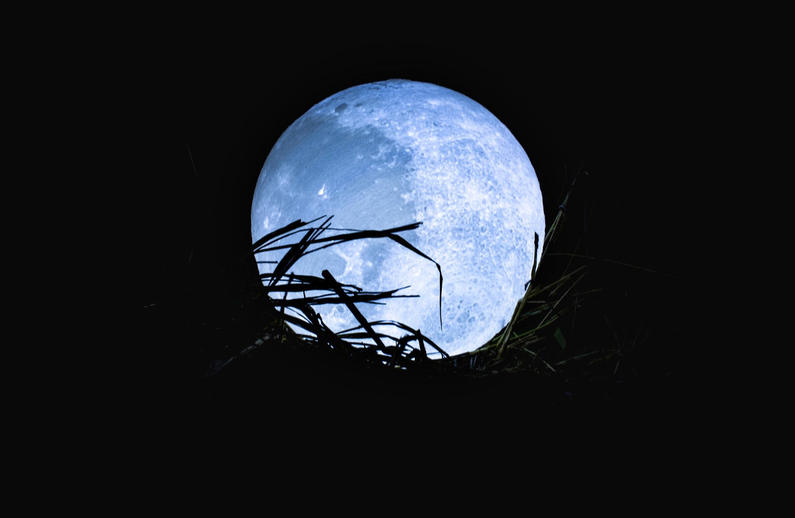 Look Up, and See What Inspired "Blue Moon of Kentucky"