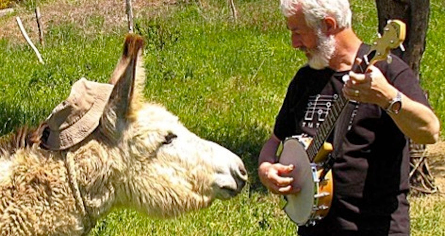 Listen Up-It's Banjo Week