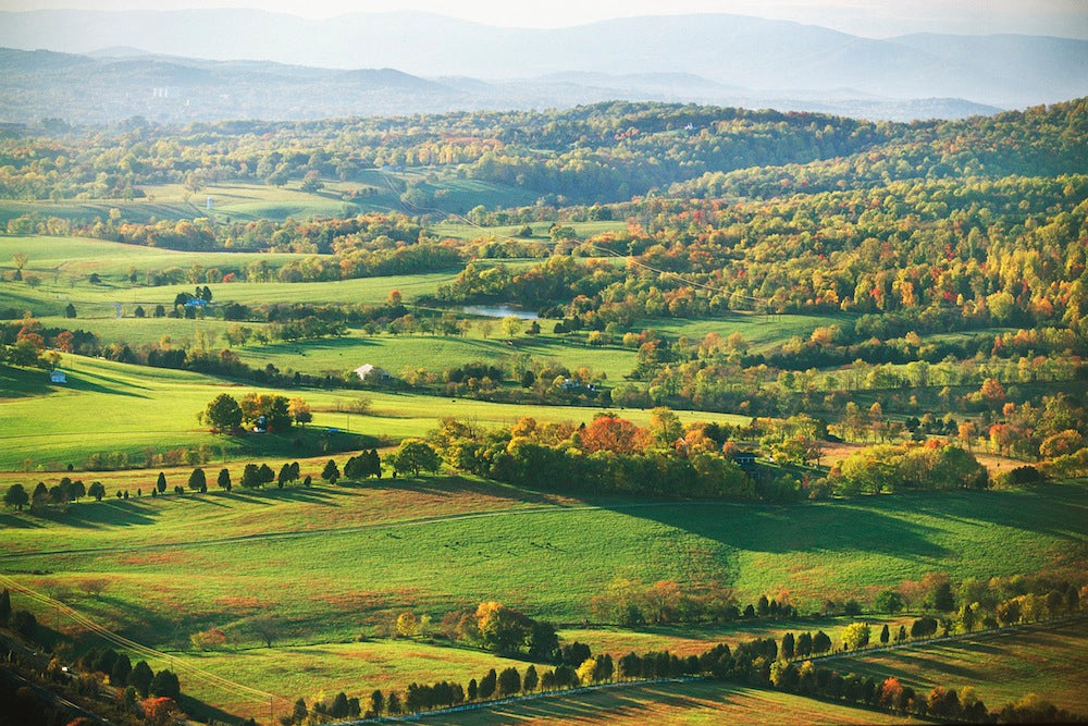 Appalachia's Most Endangered Places