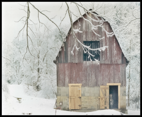 The Burro in the Barn Door