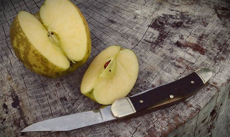 Growin’ Gold: The Golden Delicious Apple