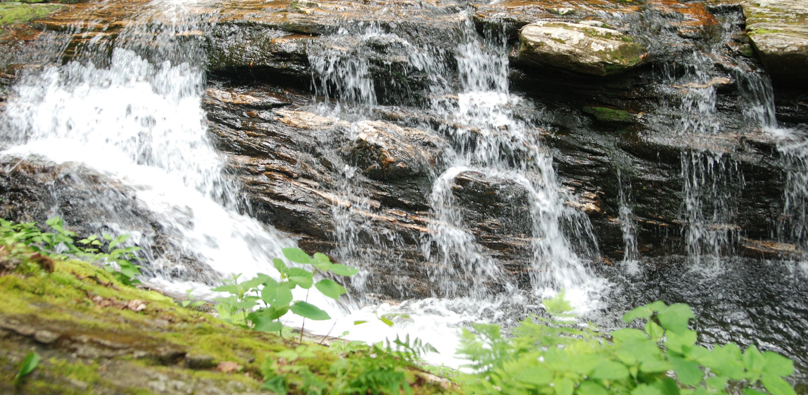 Your Favorite Swimming Hole