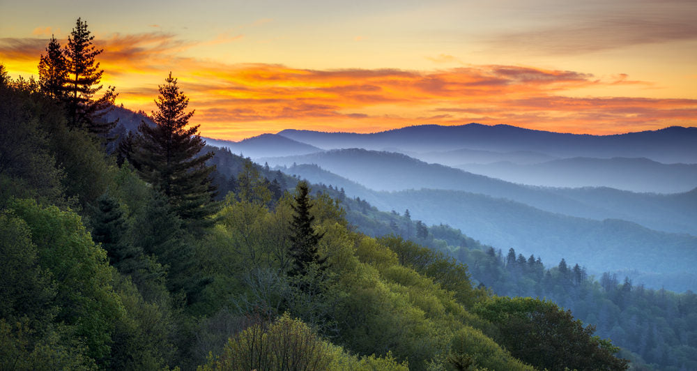 Enter to Win an RV Trip Through the Smokies