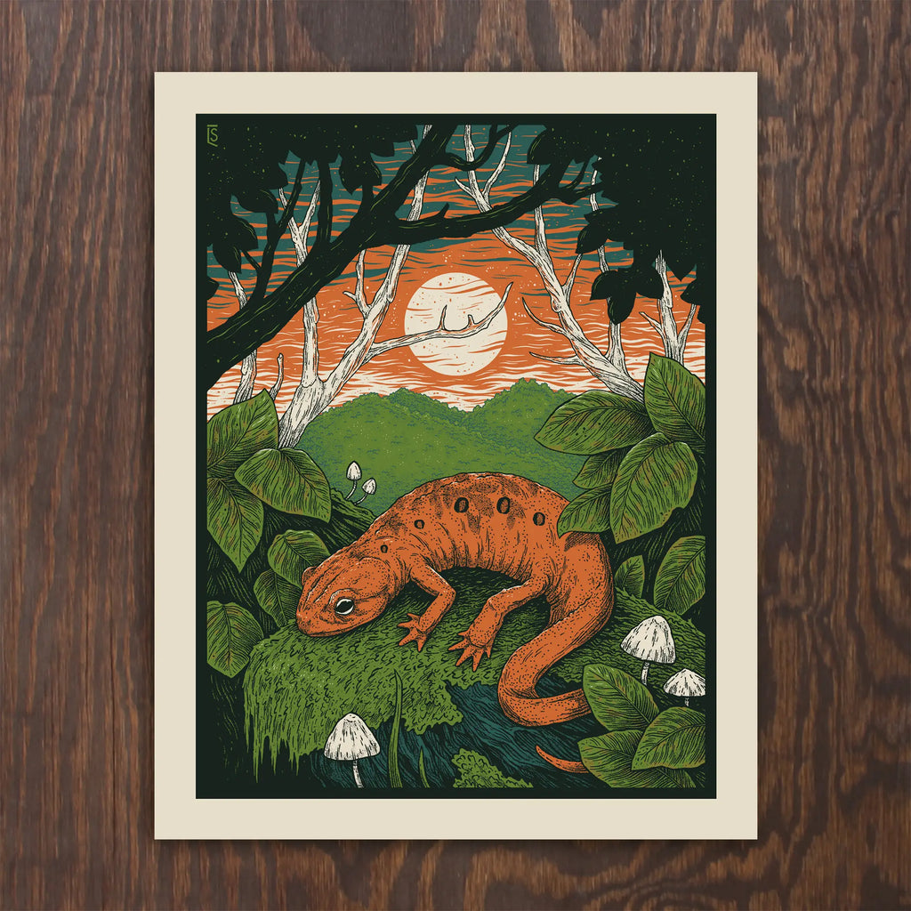 Red Eft Sunset Print
