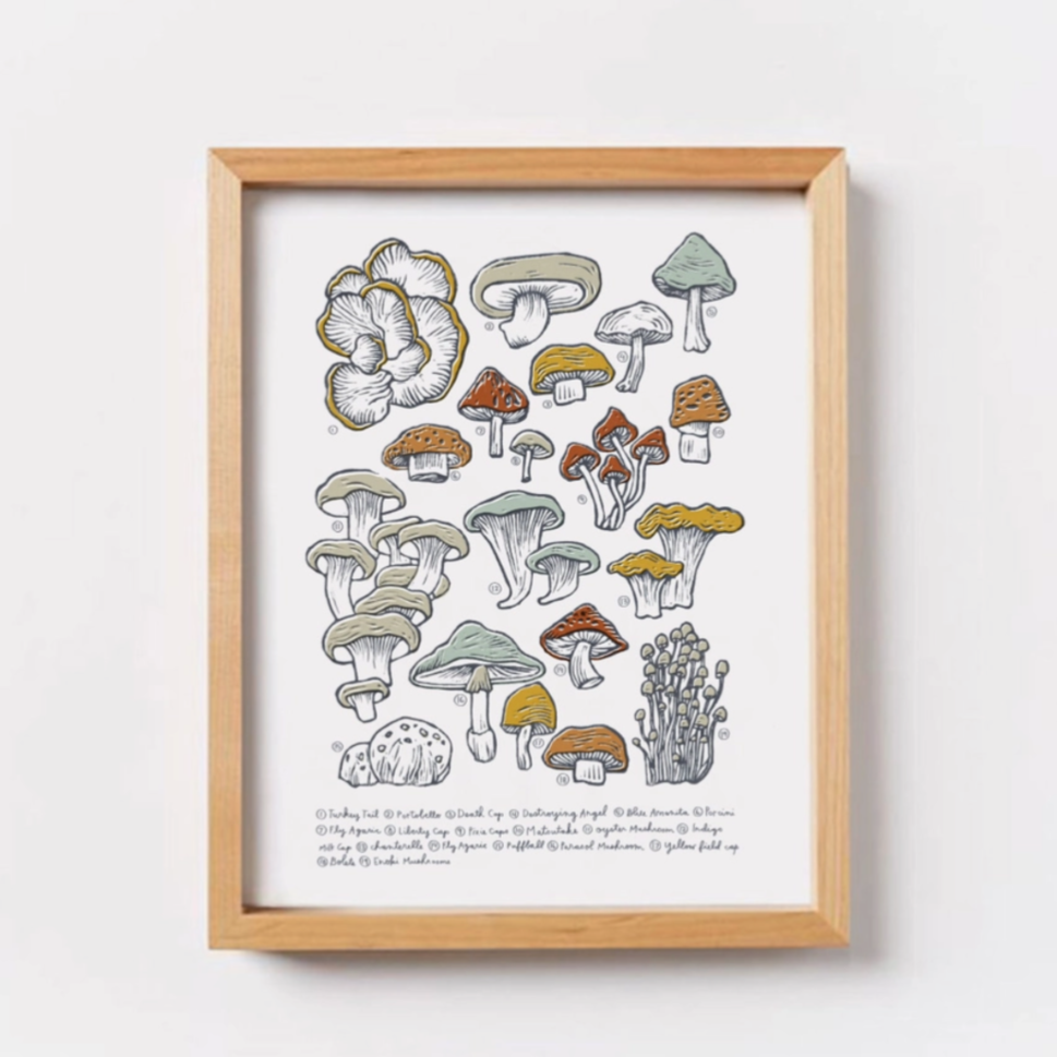 Mushroom &amp; Fungi Wall Art Print