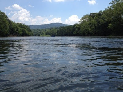 Ky Yaking