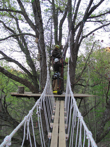 Get a Squirrel's POV on an Appalachian Canopy Tour