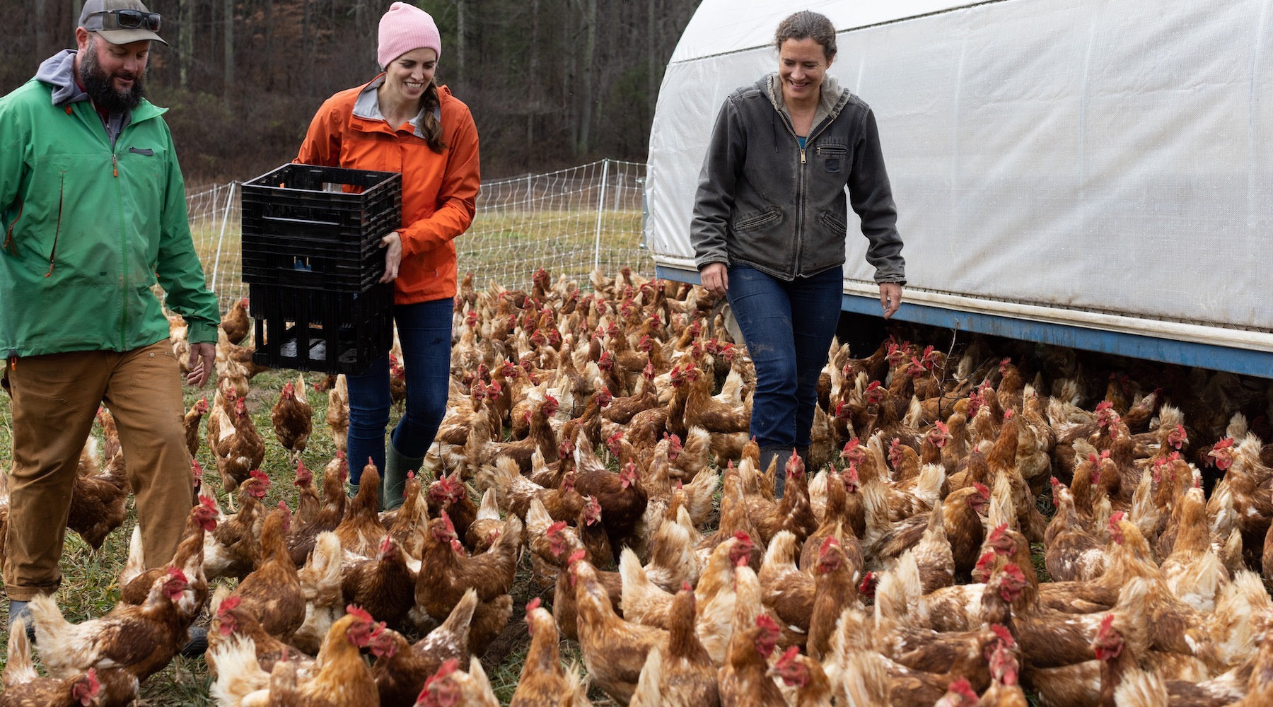 Appalachia’s Best Eggs? Celebrity Chef Katie Button visits her favorite egg farm.
