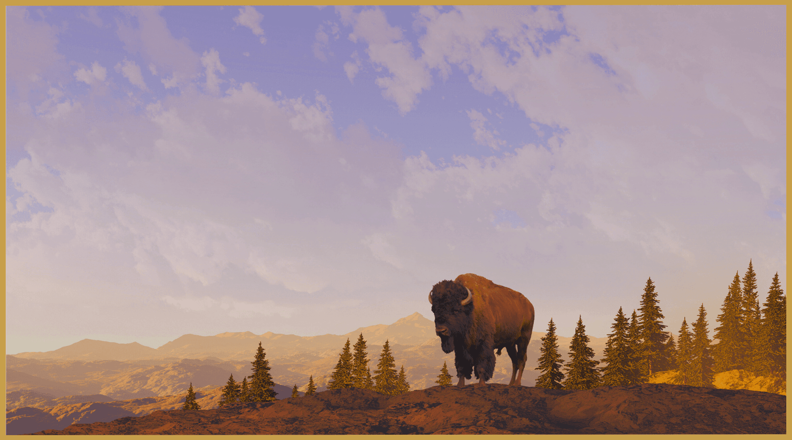 Who’s bringing bison back to Appalachia? A rad, Indigenous, women-led group