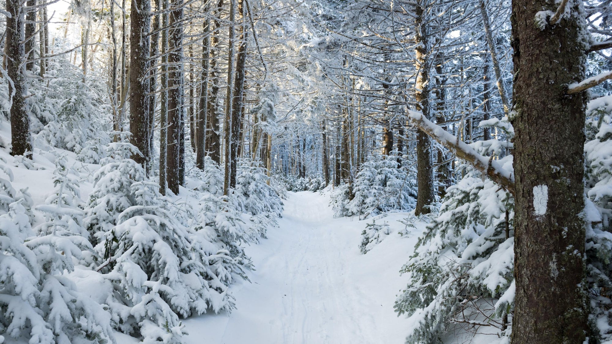 Blue Ridge Outdoors: Why Winter Hiking Is Better