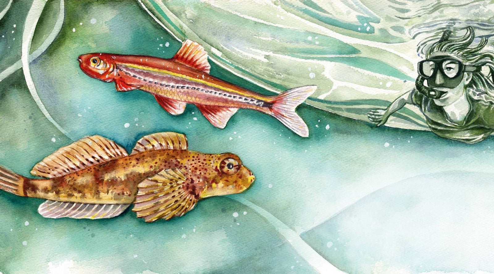 From box turtles to bunchberries, exploring tiny species within Appalachia