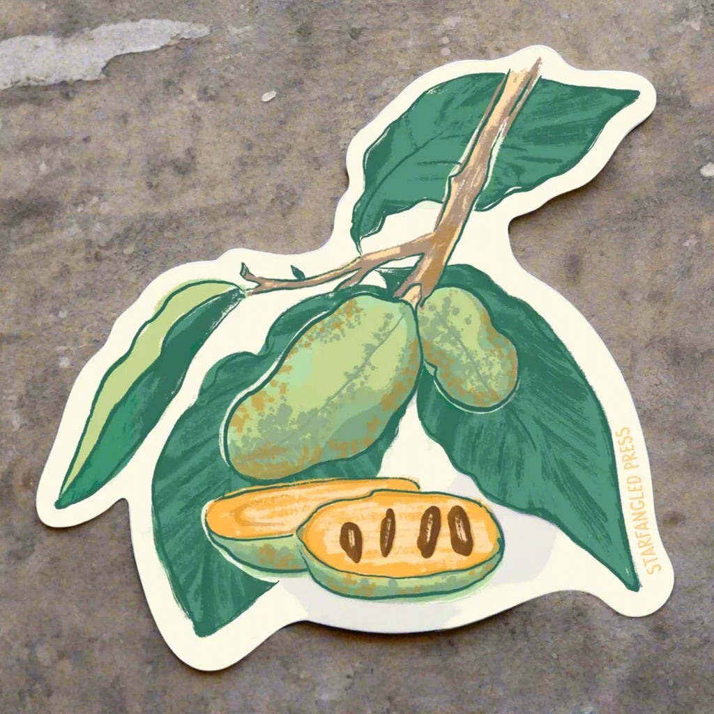 Pawpaw Plant Sticker