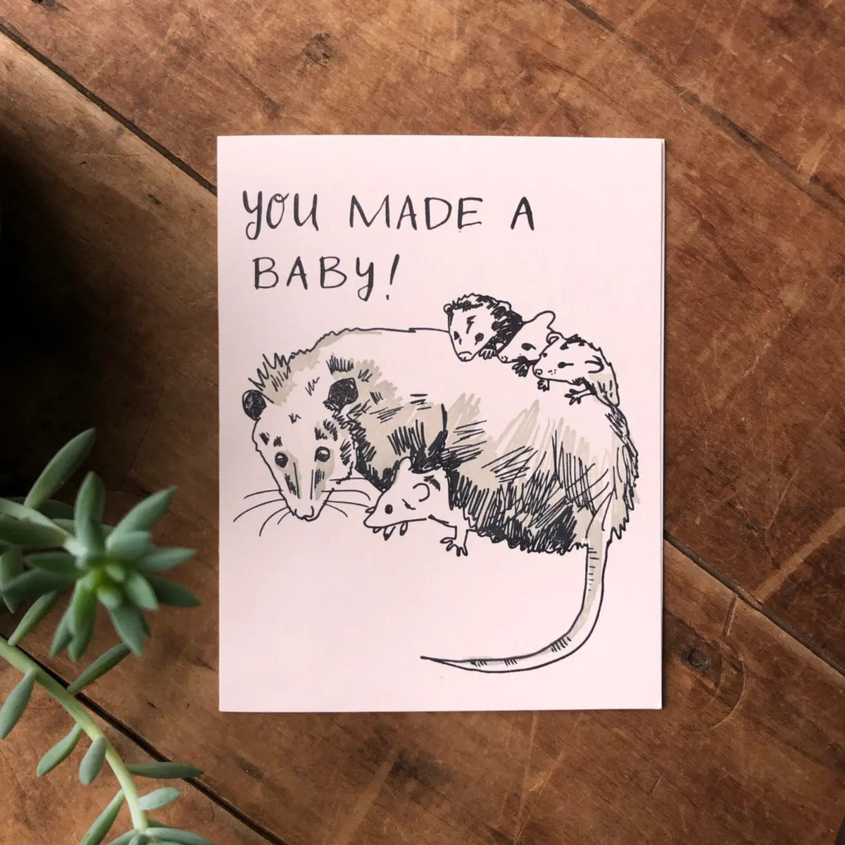 Possum New Baby Card
