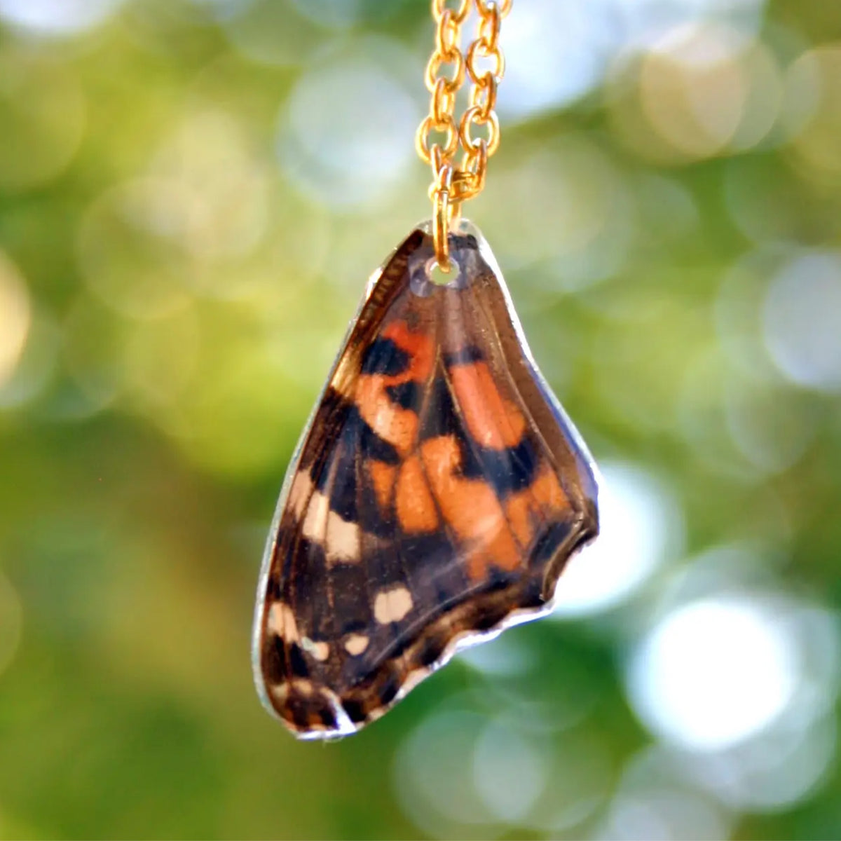 SALE Painted Lady Butterfly Wing Necklace
